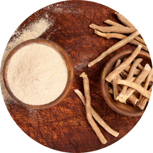 Ashwagandha Extract