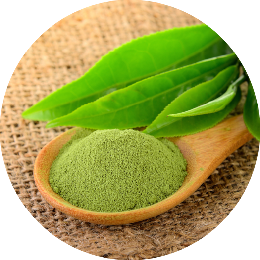 Decaf Green Tea Extract