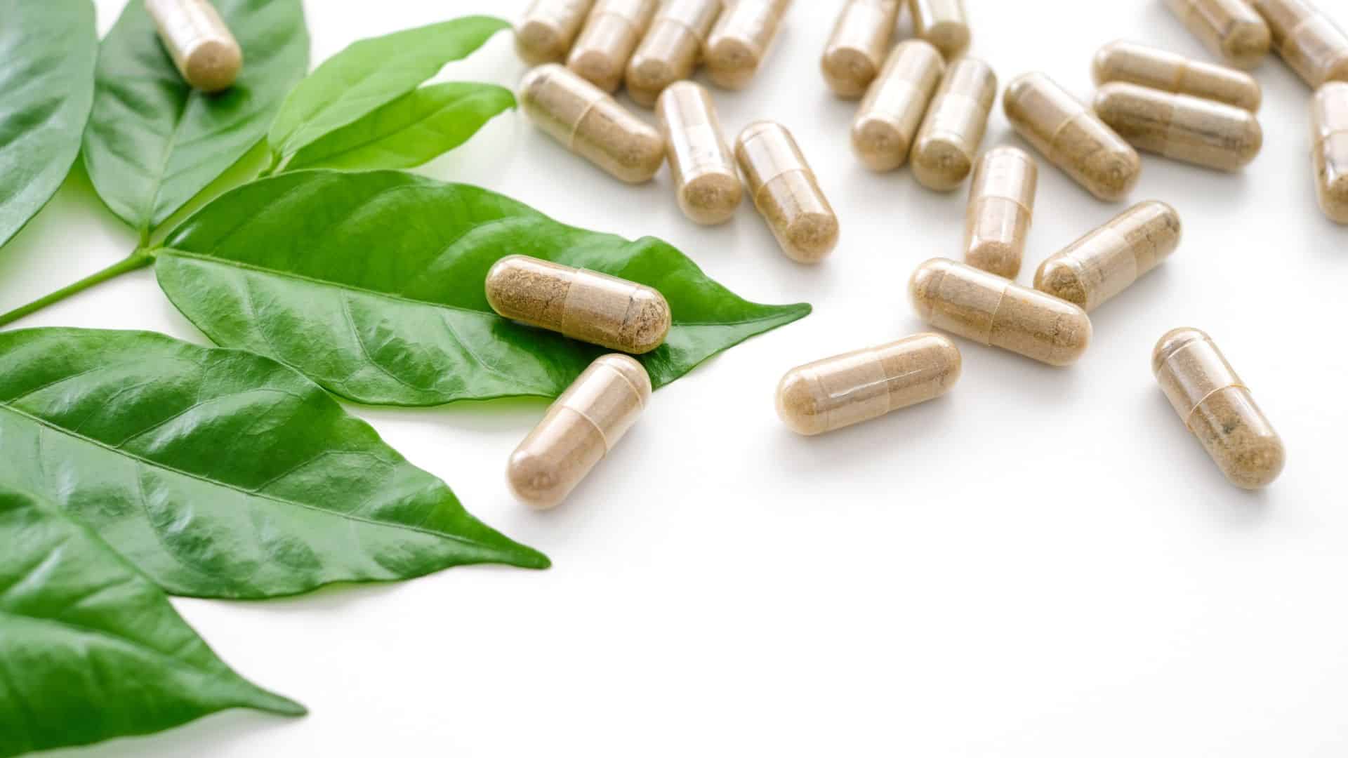 The Science of Bioavailability