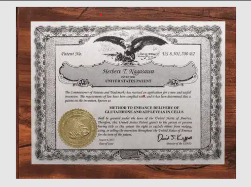 US Patent document
